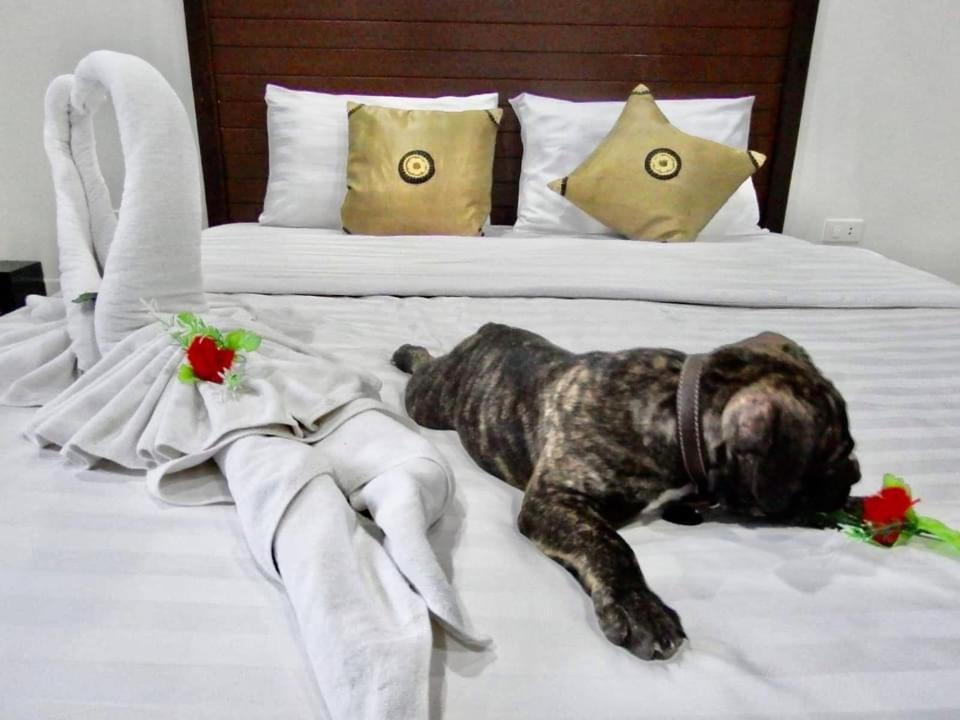 Vivi Boutique Room Hotel Sha Plus Rawai Luaran gambar